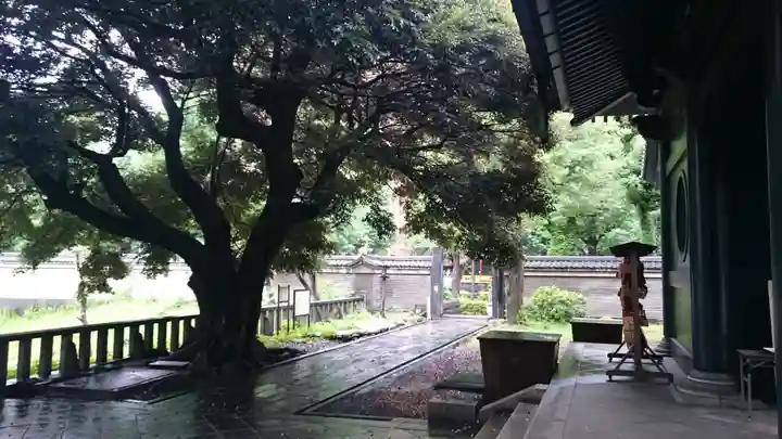 湯島聖堂の庭園