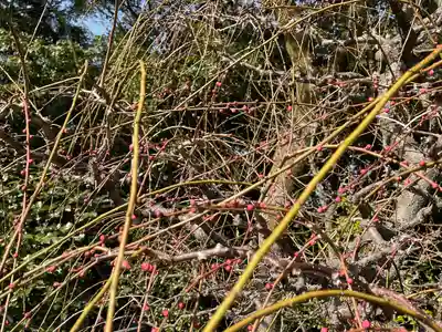 結城神社(三重県)