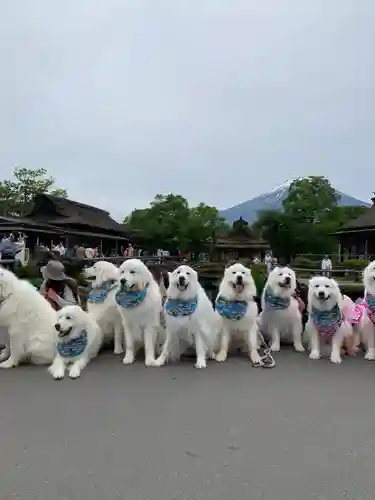淺間神社（忍野八海）(山梨県)