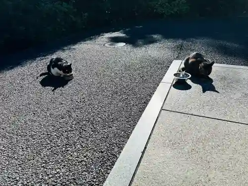白金氷川神社(東京都)