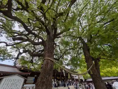 明治神宮(東京都)