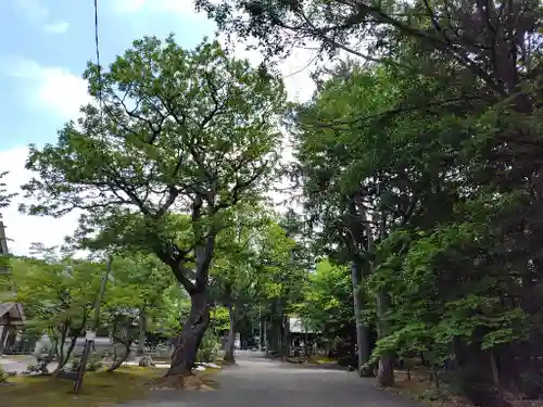 鷹栖神社(北海道)