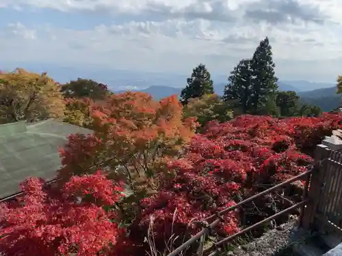 大山阿夫利神社の景色