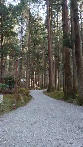 御岩神社の自然