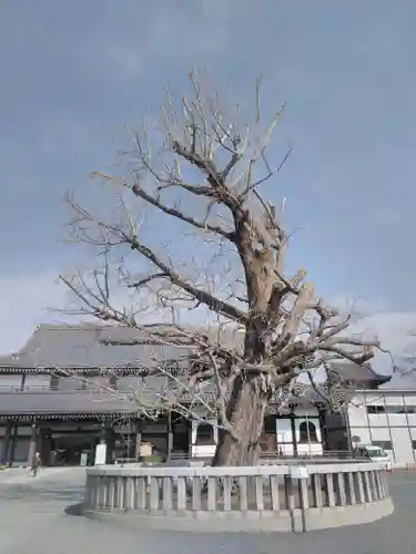 本願寺（西本願寺）のその他建物