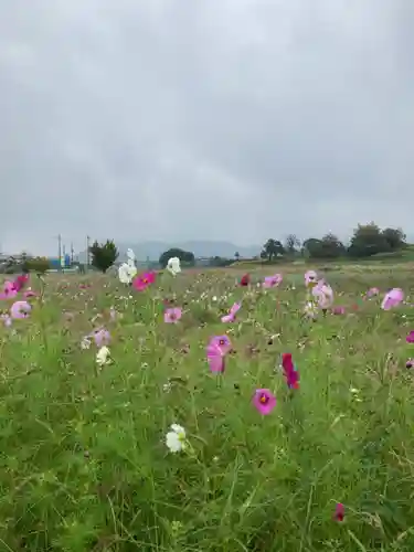 神吉八幡神社(兵庫県)