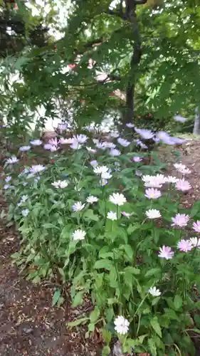 上手稲神社の自然