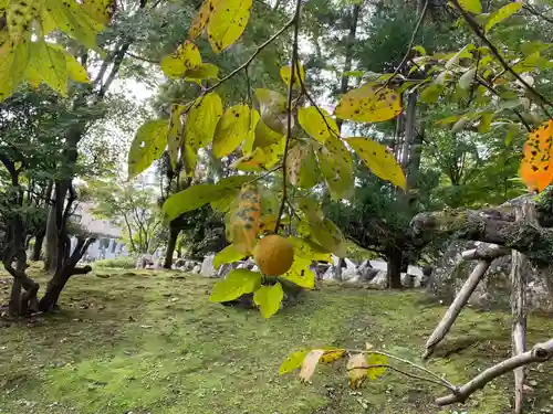 伊勢の国 四天王寺の自然