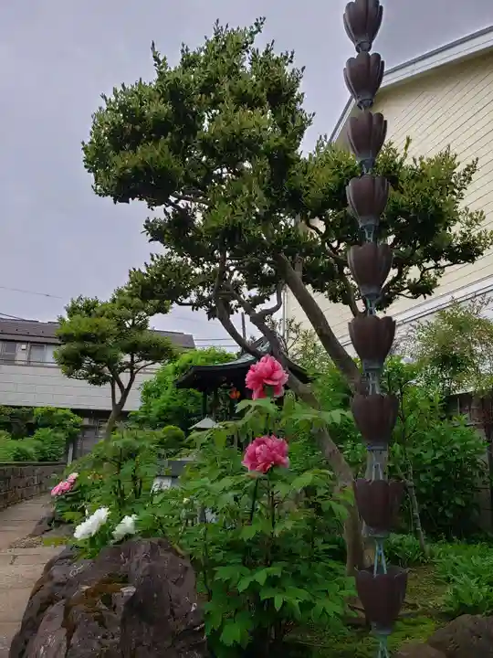 禅定院(東京都)