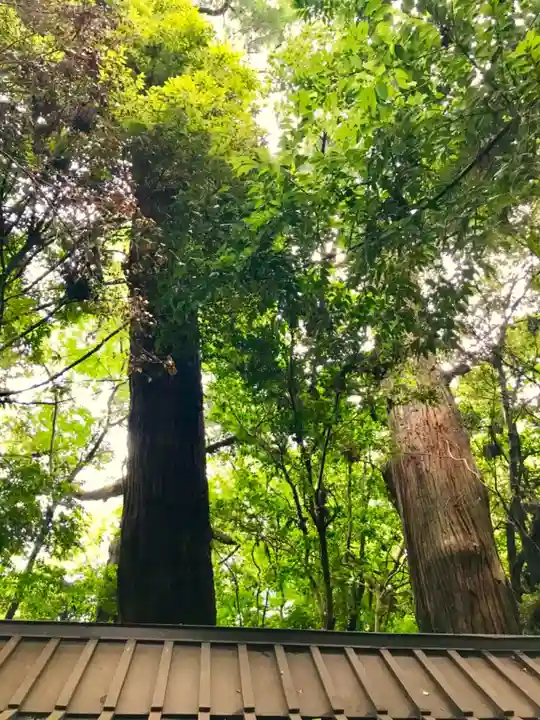 香取神宮(千葉県)