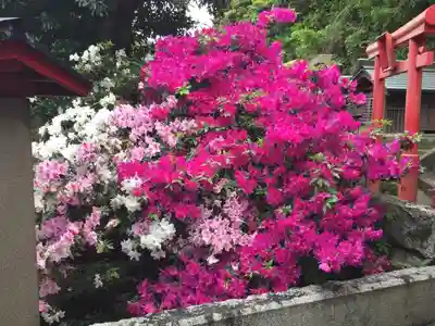 黒瀬神社の自然