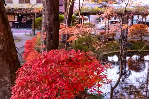 諏訪大社下社秋宮(長野県)