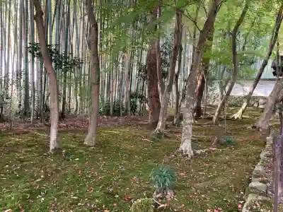 地蔵院(京都府)