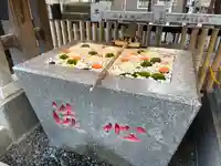 高円寺氷川神社(東京都)