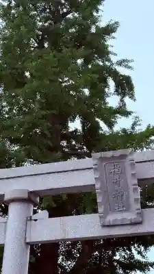 福井神社(福井県)