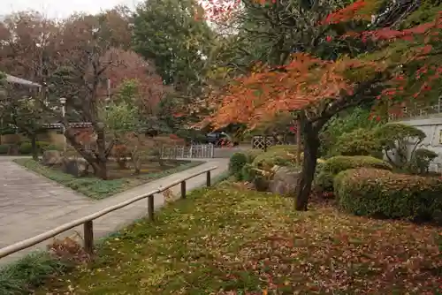 宝珠山　観泉寺の庭園