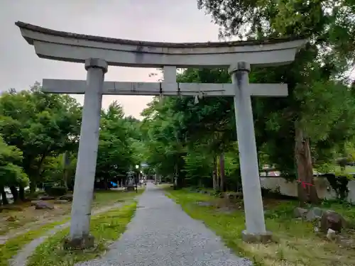 柳廼社の鳥居