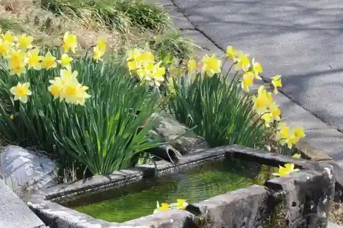 国宝 大法寺の手水舎