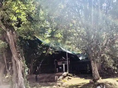 諏訪大社上社前宮の本殿・本堂