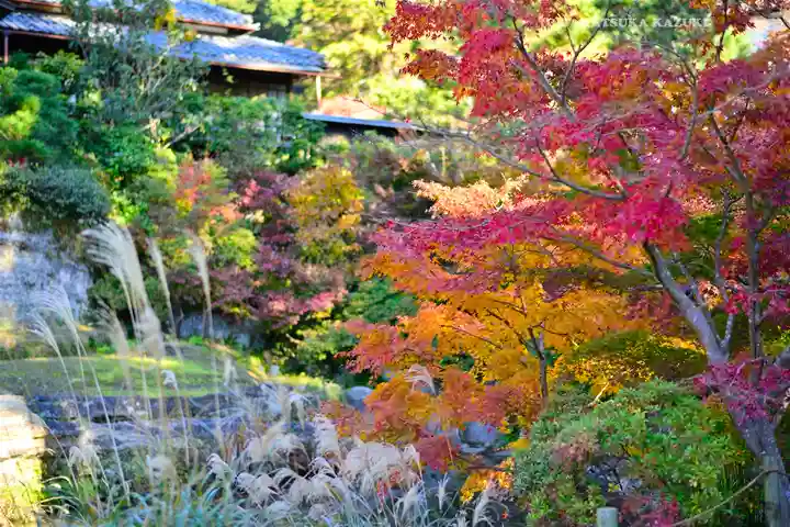 円覚寺(神奈川県)