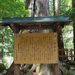 飛瀧神社（熊野那智大社別宮）(和歌山県)