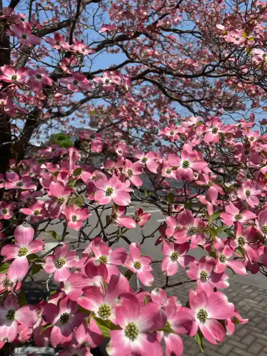 高巌寺(福島県)