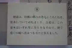 長谷寺の建物その他