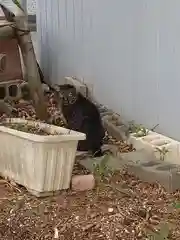 聖天神社（聖天上人像社）の動物