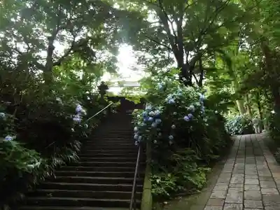 妙本寺のその他建物