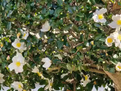 月光寺(大阪府)