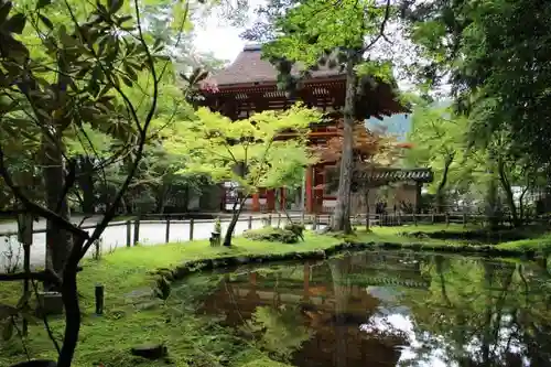 室生寺の建物その他