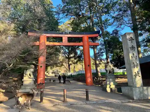 手向山八幡宮(奈良県)