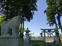 吉住熊野神社の狛犬