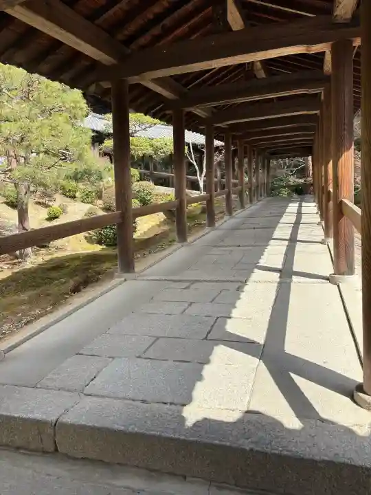 東福禅寺(東福寺)の{uncategorized: "未分類", other: "その他", undefined: "問題あり", building: "その他建物", grave: "お墓", sacred_gate: "鳥居", guardian: "狛犬", statue: "像", buddha: "仏像", history: "歴史", nature: "自然", garden: "庭園", animal: "動物", pagoda: "塔", temizu: "手水舎", mountain_gate: "山門・神門", sanctuary: "本殿・本堂", subordinate: "末社・摂社", art: "芸術", scenery: "景色", jizo: "地蔵", ema: "絵馬", goshuin: "御朱印", omikuji: "おみくじ", items: "授与品その他", amulet: "お守り", goshuincho: "御朱印帳", eats: "食事", festival: "お祭り", votive_dance: "神楽", shichigosan: "七五三参", wedding: "結婚式", experience: "体験その他", initially: "初詣", around: "周辺", anti_infection: "感染症対策"}