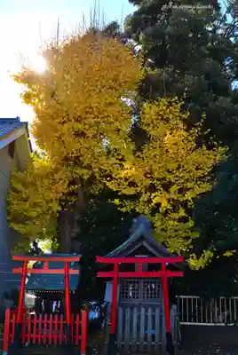 生麦杉山神社(神奈川県)