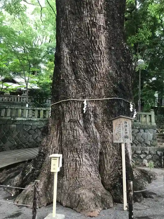 五所神社(神奈川県)