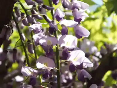 志那神社のその他建物
