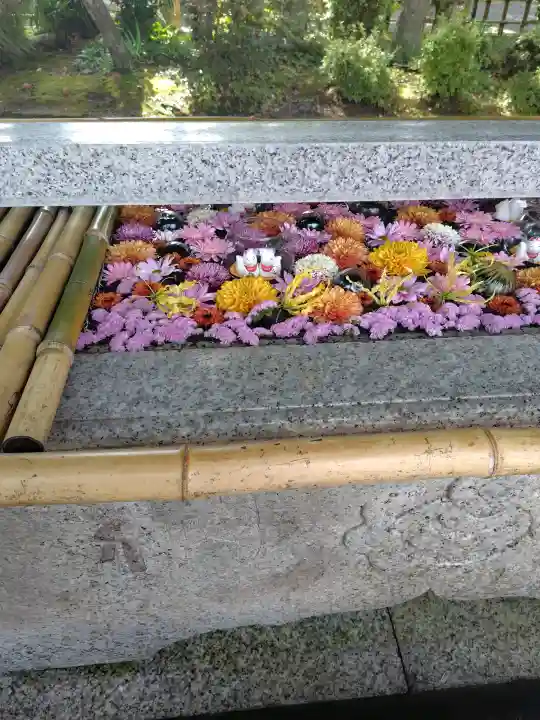 竹駒神社の{uncategorized: "未分類", other: "その他", undefined: "問題あり", building: "その他建物", grave: "お墓", sacred_gate: "鳥居", guardian: "狛犬", statue: "像", buddha: "仏像", history: "歴史", nature: "自然", garden: "庭園", animal: "動物", pagoda: "塔", temizu: "手水舎", mountain_gate: "山門・神門", sanctuary: "本殿・本堂", subordinate: "末社・摂社", art: "芸術", scenery: "景色", jizo: "地蔵", ema: "絵馬", goshuin: "御朱印", omikuji: "おみくじ", items: "授与品その他", amulet: "お守り", goshuincho: "御朱印帳", eats: "食事", festival: "お祭り", votive_dance: "神楽", shichigosan: "七五三参", wedding: "結婚式", experience: "体験その他", initially: "初詣", around: "周辺", anti_infection: "感染症対策"}