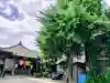 橋場寺不動院(橋場不動尊)(東京都)