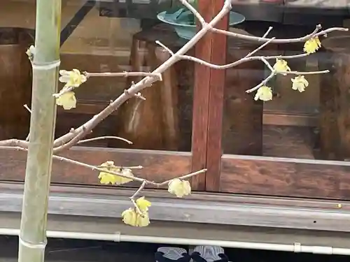 遠照山 光明寺（尼崎大仏）(兵庫県)