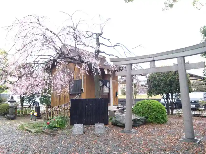 青嶋八幡宮神社(静岡県)