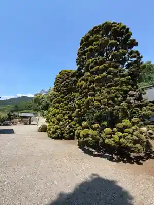 光明禅寺の{uncategorized: "未分類", other: "その他", undefined: "問題あり", building: "その他建物", grave: "お墓", sacred_gate: "鳥居", guardian: "狛犬", statue: "像", buddha: "仏像", history: "歴史", nature: "自然", garden: "庭園", animal: "動物", pagoda: "塔", temizu: "手水舎", mountain_gate: "山門・神門", sanctuary: "本殿・本堂", subordinate: "末社・摂社", art: "芸術", scenery: "景色", jizo: "地蔵", ema: "絵馬", goshuin: "御朱印", omikuji: "おみくじ", items: "授与品その他", amulet: "お守り", goshuincho: "御朱印帳", eats: "食事", festival: "お祭り", votive_dance: "神楽", shichigosan: "七五三参", wedding: "結婚式", experience: "体験その他", initially: "初詣", around: "周辺", anti_infection: "感染症対策"}