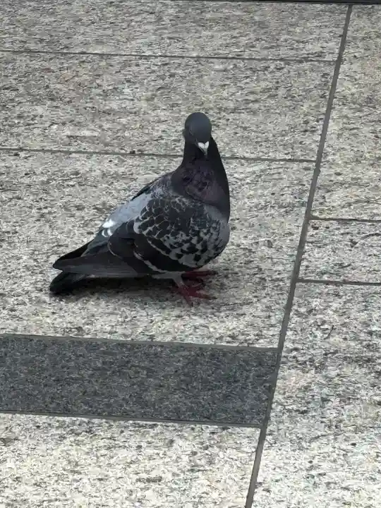 豊川稲荷(東京都)