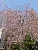 天徳寺(神奈川県)