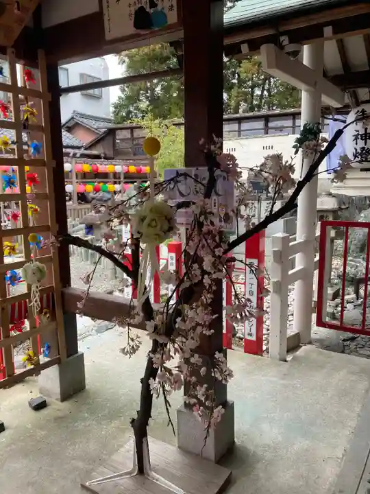 別小江神社の自然