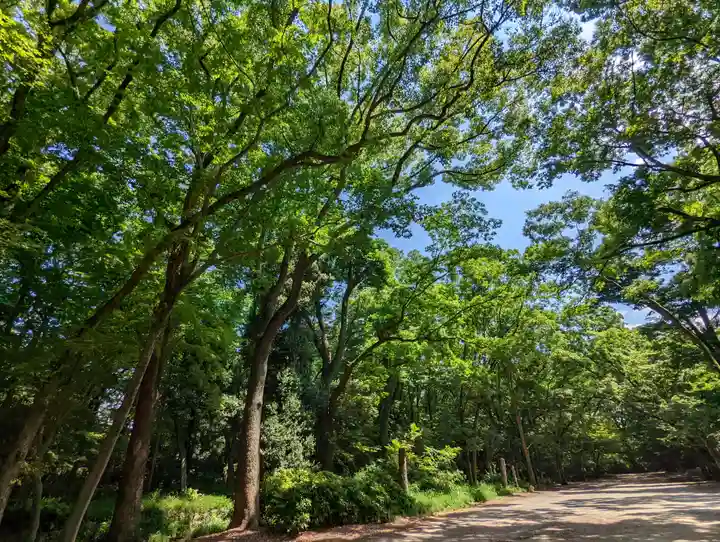 賀茂御祖神社(下鴨神社)(京都府)