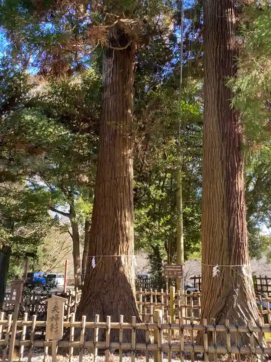 大田原神社(栃木県)