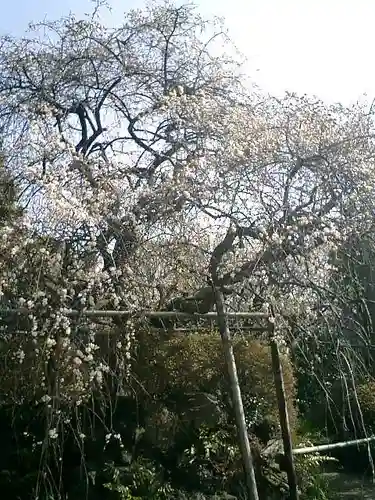 宝戒寺の庭園