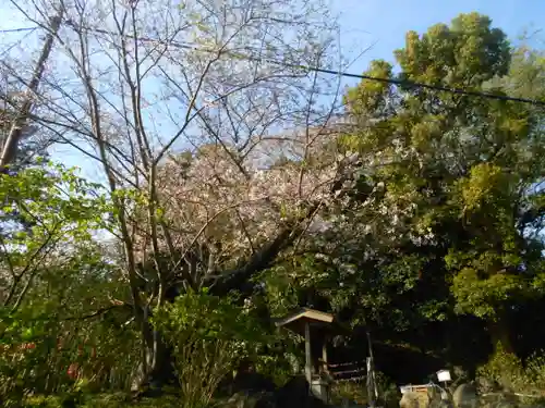 葛原岡神社の自然