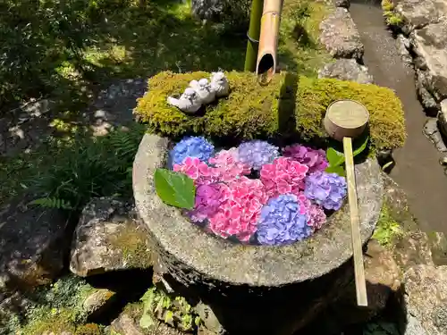 柳谷観音　楊谷寺(京都府)
